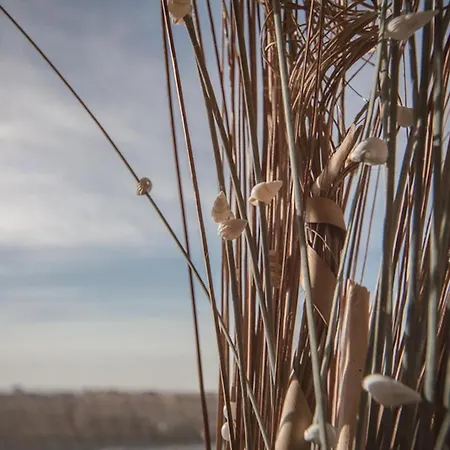 Appartementanlage Am Appartementanlage Am Lachmoewe - 10 *